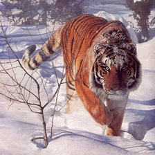 Cross stitch pattern: #1566594