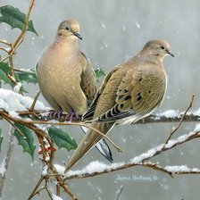 Cross stitch pattern: #1572897
