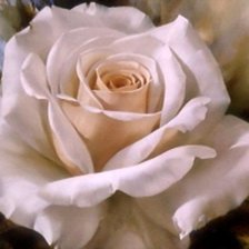 Cross stitch pattern: #1573186