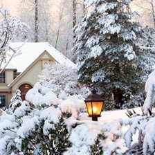 Cross stitch pattern: #1573191