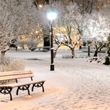 Cross stitch pattern: #1573197