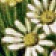 Preview of cross stitch pattern: #1574802