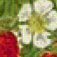 Preview of cross stitch pattern: #1575489