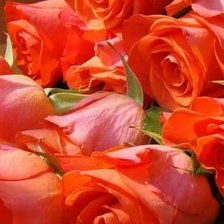 Cross stitch pattern: #1578294