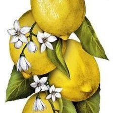 Cross stitch pattern: #1578411