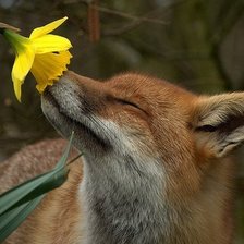 Cross stitch pattern: #1579132