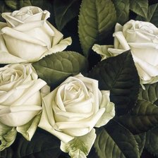 Cross stitch pattern: #1579793
