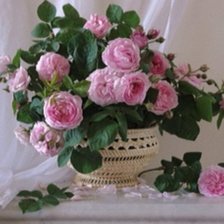 Cross stitch pattern: #1581427