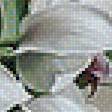 Preview of cross stitch pattern: #1586413