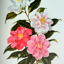 Cross stitch pattern: #1591544