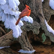 Cross stitch pattern: #1593813