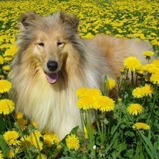 Cross stitch pattern: #1596440