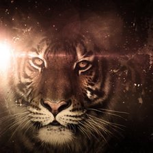 Cross stitch pattern: #1596706