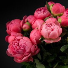 Cross stitch pattern: #1597458