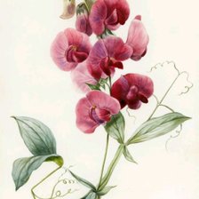 Cross stitch pattern: #1597472