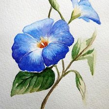 Cross stitch pattern: #1597473