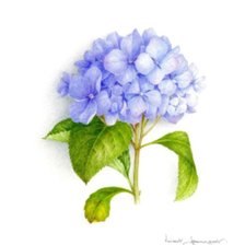 Cross stitch pattern: #1597475