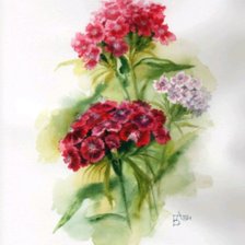 Cross stitch pattern: #1597476