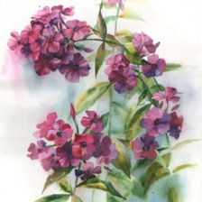Cross stitch pattern: #1597477
