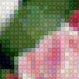 Preview of cross stitch pattern: #1597478