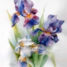 Cross stitch pattern: #1597485