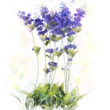 Cross stitch pattern: #1597488