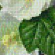 Preview of cross stitch pattern: #1597867