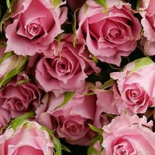 Cross stitch pattern: #1599212