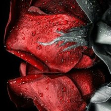 Cross stitch pattern: #1599214