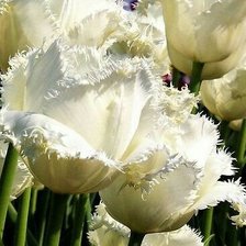 Cross stitch pattern: #1599217