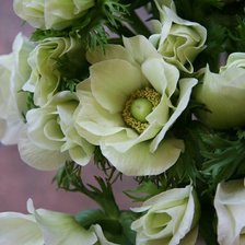 Cross stitch pattern: #1599222