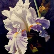 Cross stitch pattern: #1599230