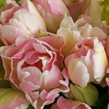 Cross stitch pattern: #1601449