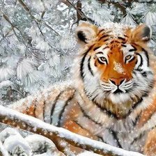 Cross stitch pattern: #1602501