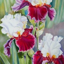Cross stitch pattern: #1602839