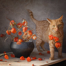 Cross stitch pattern: #1602944