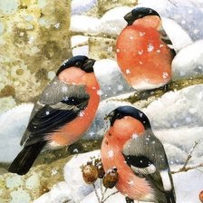 Cross stitch pattern: #1606039