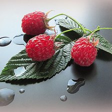 Cross stitch pattern: #1606171