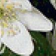 Preview of cross stitch pattern: #1612266