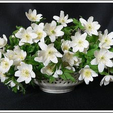 Cross stitch pattern: #1612266