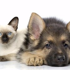 Cross stitch pattern: #1617588