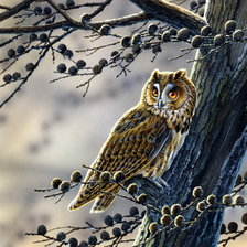 Cross stitch pattern: #1618891