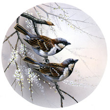 Cross stitch pattern: #1618895