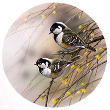 Cross stitch pattern: #1618899