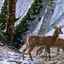 Cross stitch pattern: #1618961