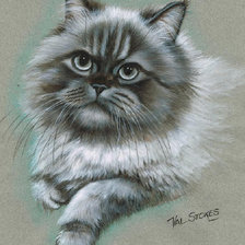 Cross stitch pattern: #1619354