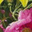 Preview of cross stitch pattern: #1623009