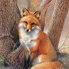 Cross stitch pattern: #1636091