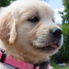 Cross stitch pattern: #1636887