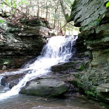 Cross stitch pattern: #1637058